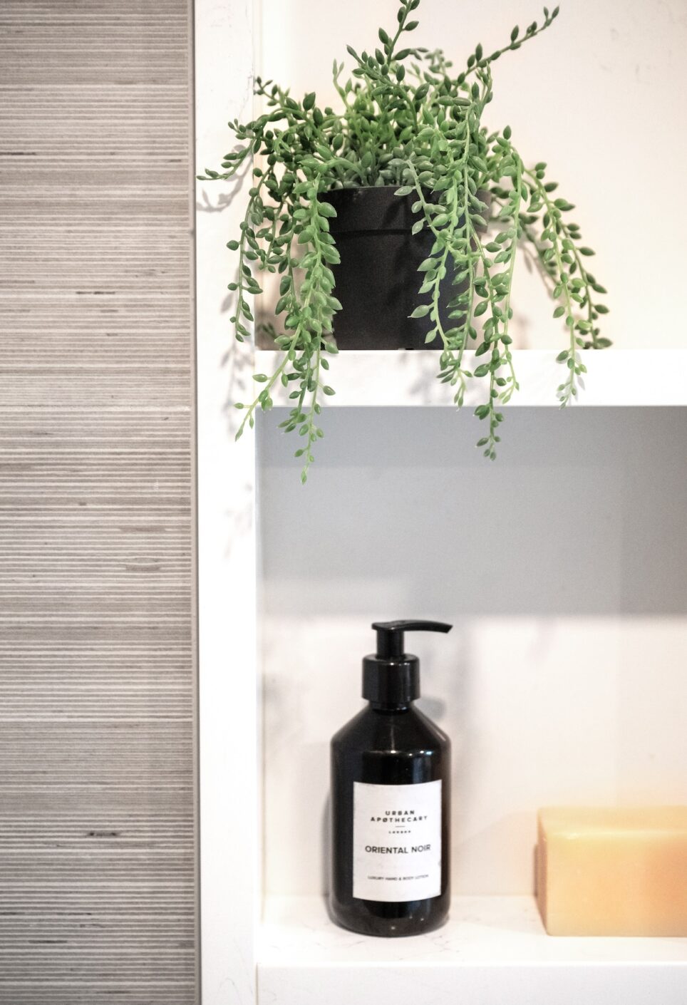 Shower Shelf Inset String Of Pearls Plant